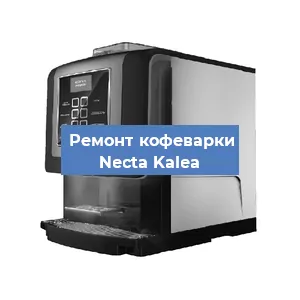 Замена прокладок на кофемашине Necta Kalea в Нижнем Новгороде